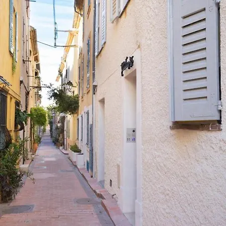 Safranier Emy 101 Antibes